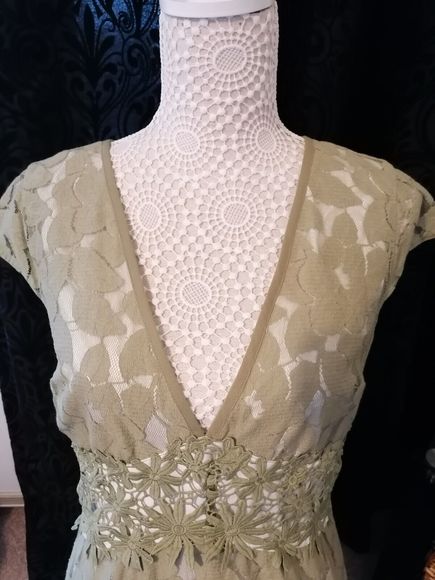 Next Womens dress 12  occasion dress Fully Lined Intricate Lace detail new - Picture 6 of 12